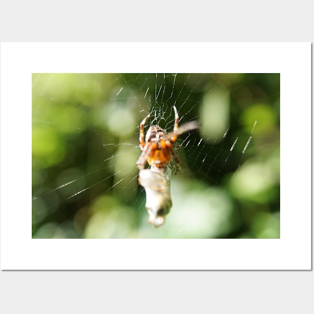 Spider With Packaged Prey Wall Art by Pirino